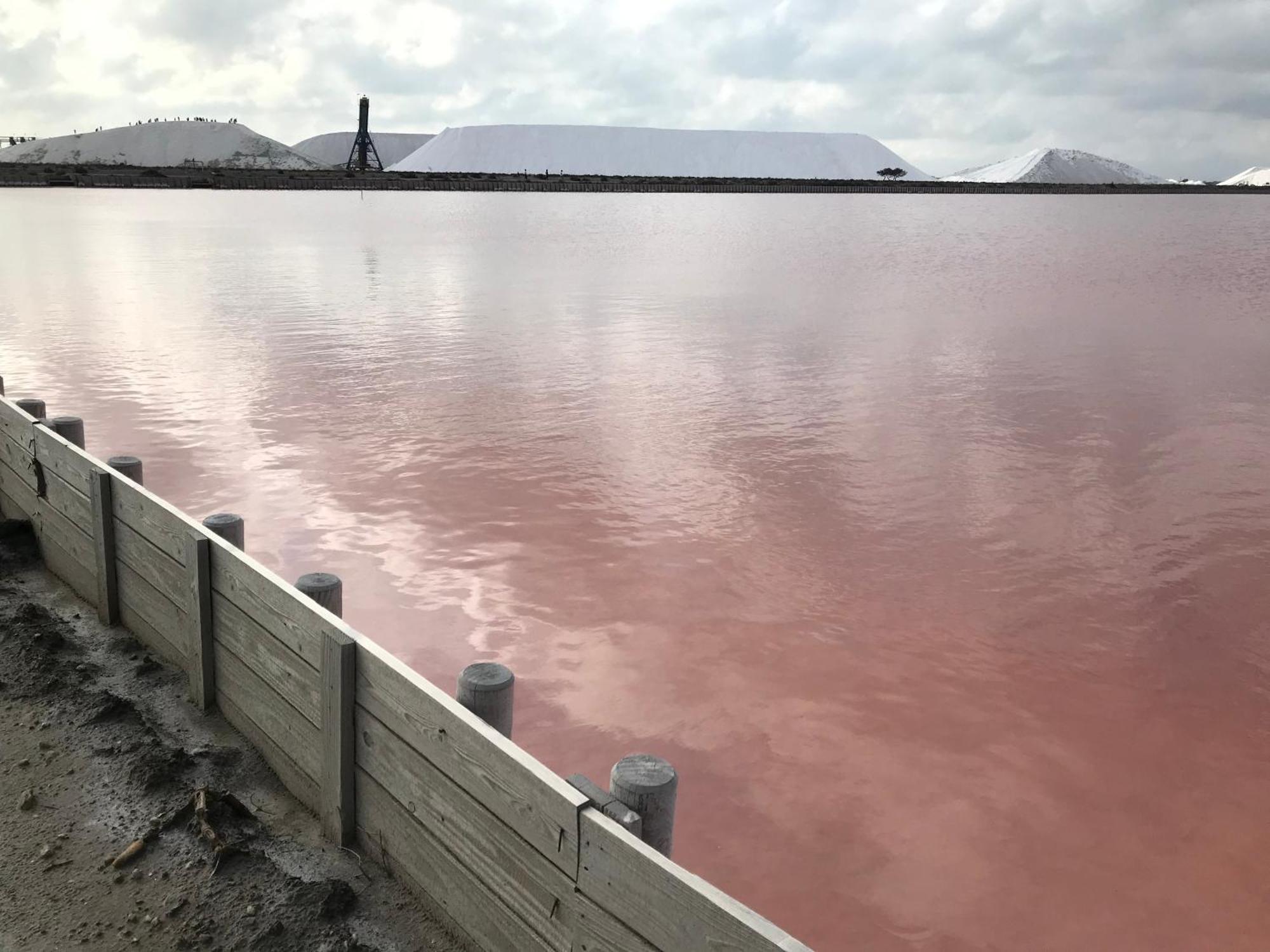 Le Clos Des Vignes Junas Bagian luar foto