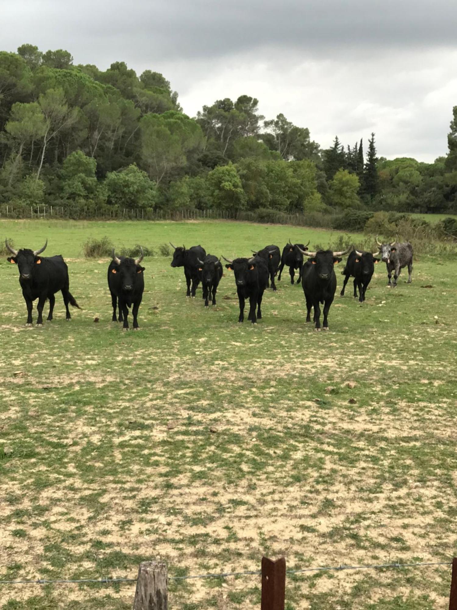Le Clos Des Vignes Junas Bagian luar foto